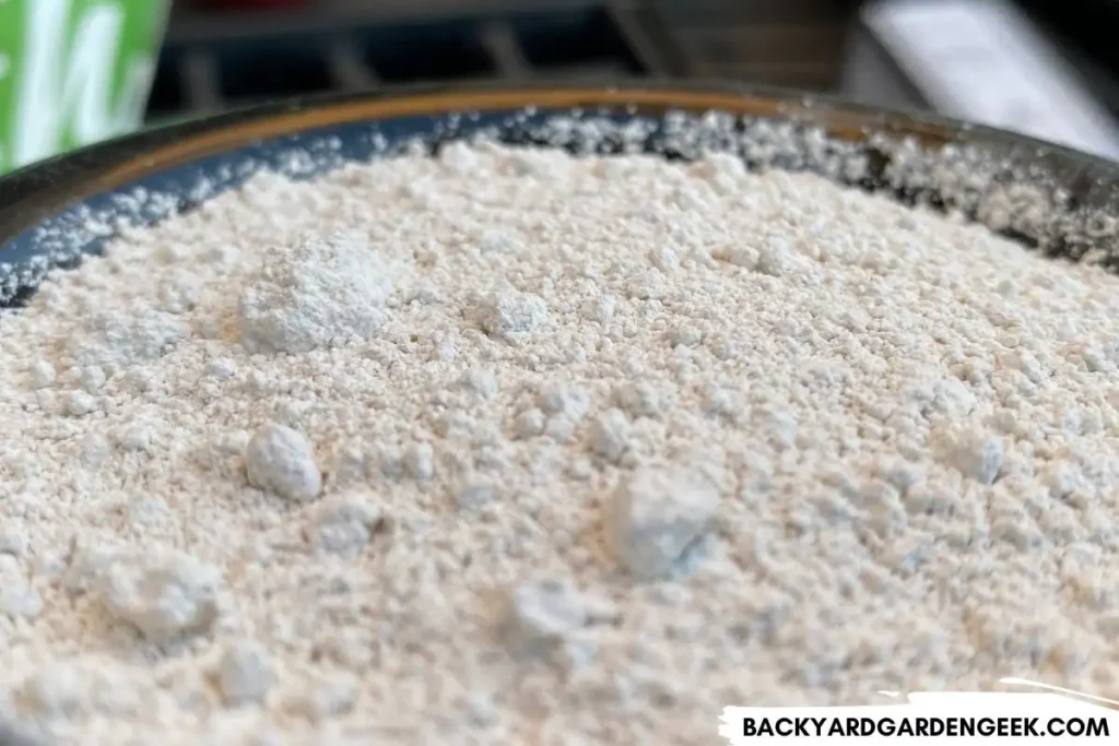 Close Up of Diatomaceous Earth in a Bowl