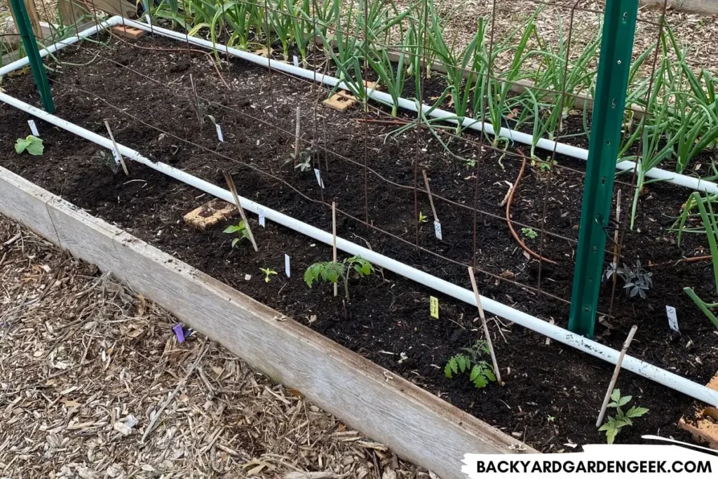 Compost Added Around Garden Plants