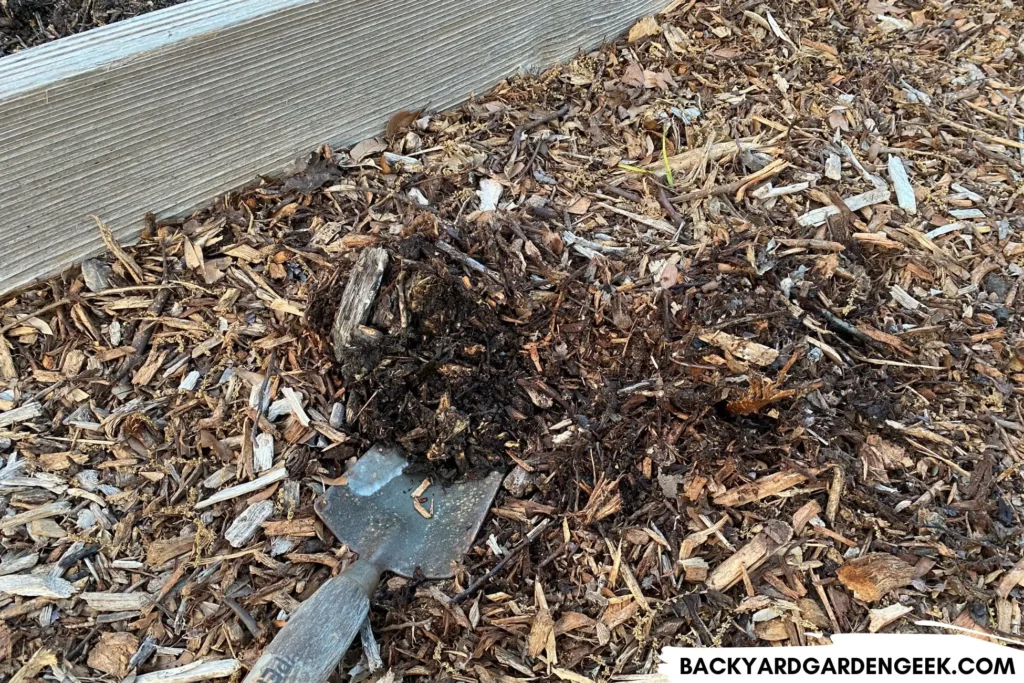 Decomposed Wood Chips Underneath New Mulch