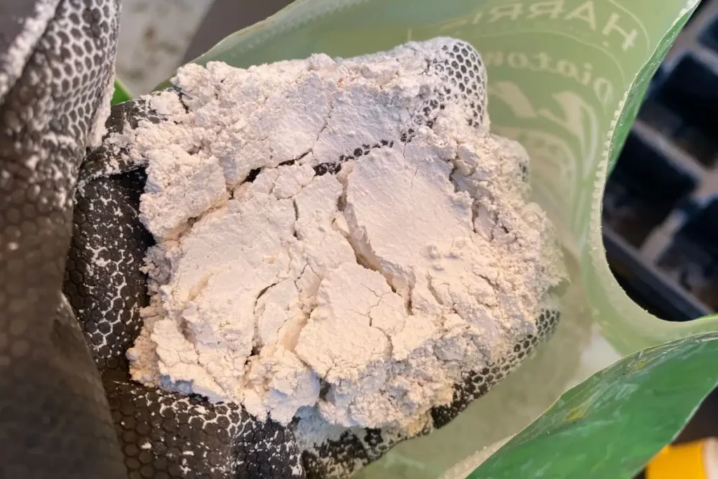 Can Diatomaceous Earth Harm Plants? What Scientists Say Backyard