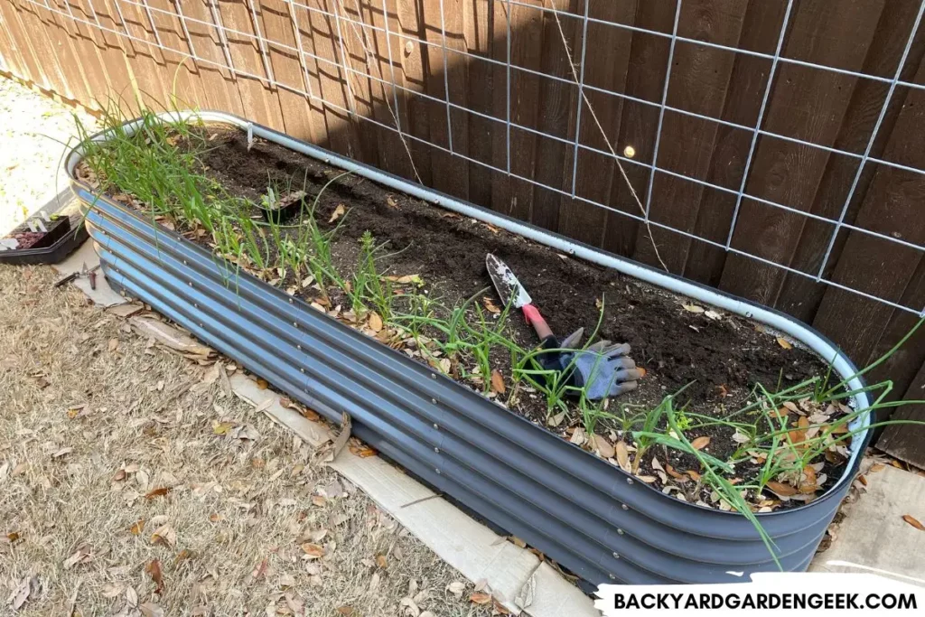 Large Raised Bed with Added Compost