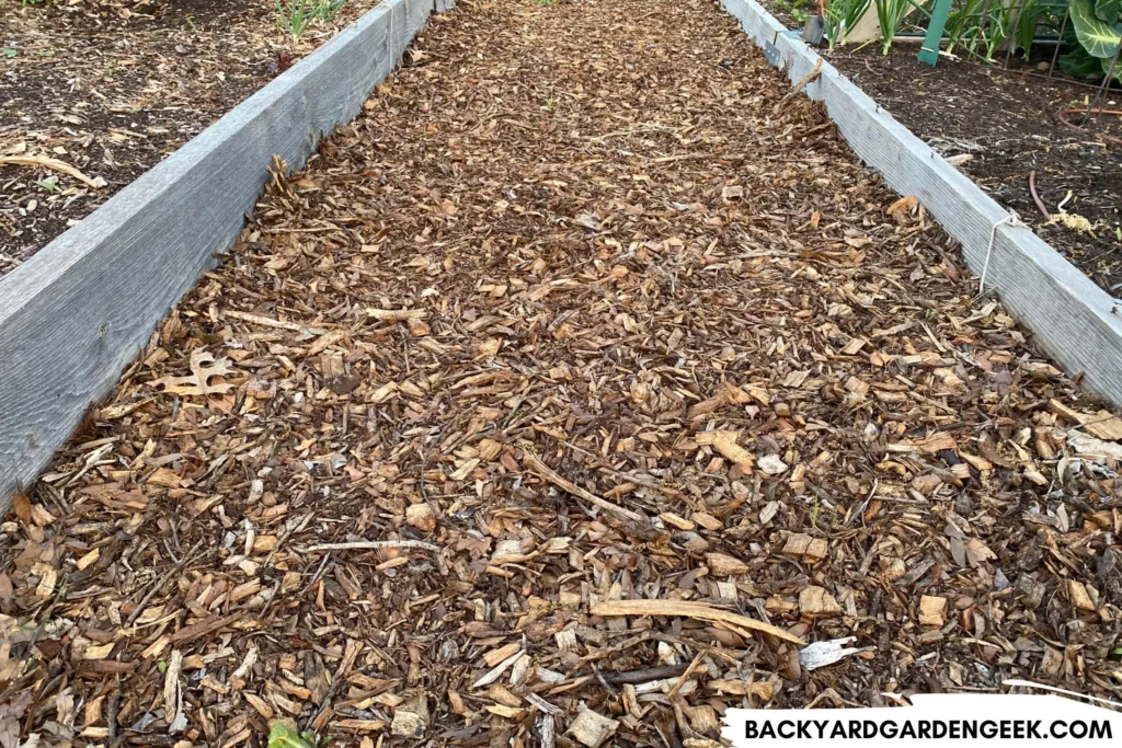 Wood Chips Covering Ground Between Raised Beds