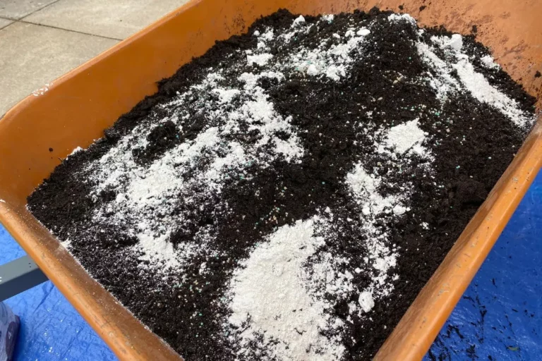 5 Reasons to Mix Diatomaceous Earth With Soil