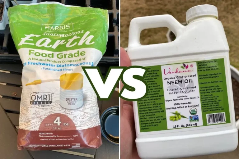 Diatomaceous Earth vs. Neem Oil: Which Should You Use?