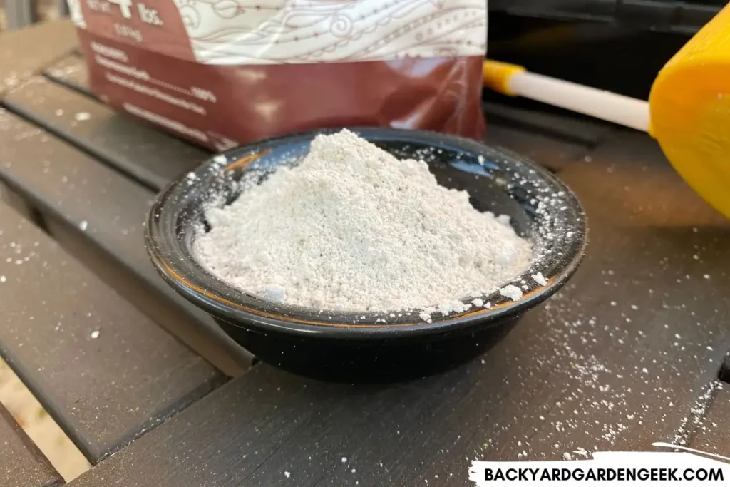 Bowl of Diatomaceous Earth