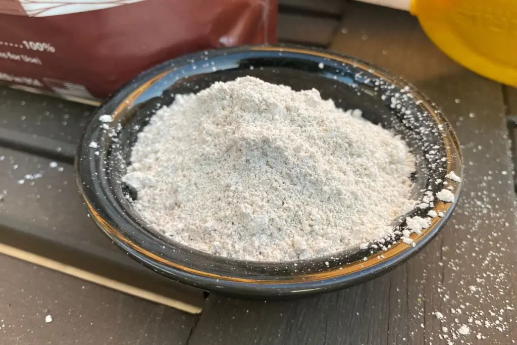 Bowl of Diatomaceous Earth