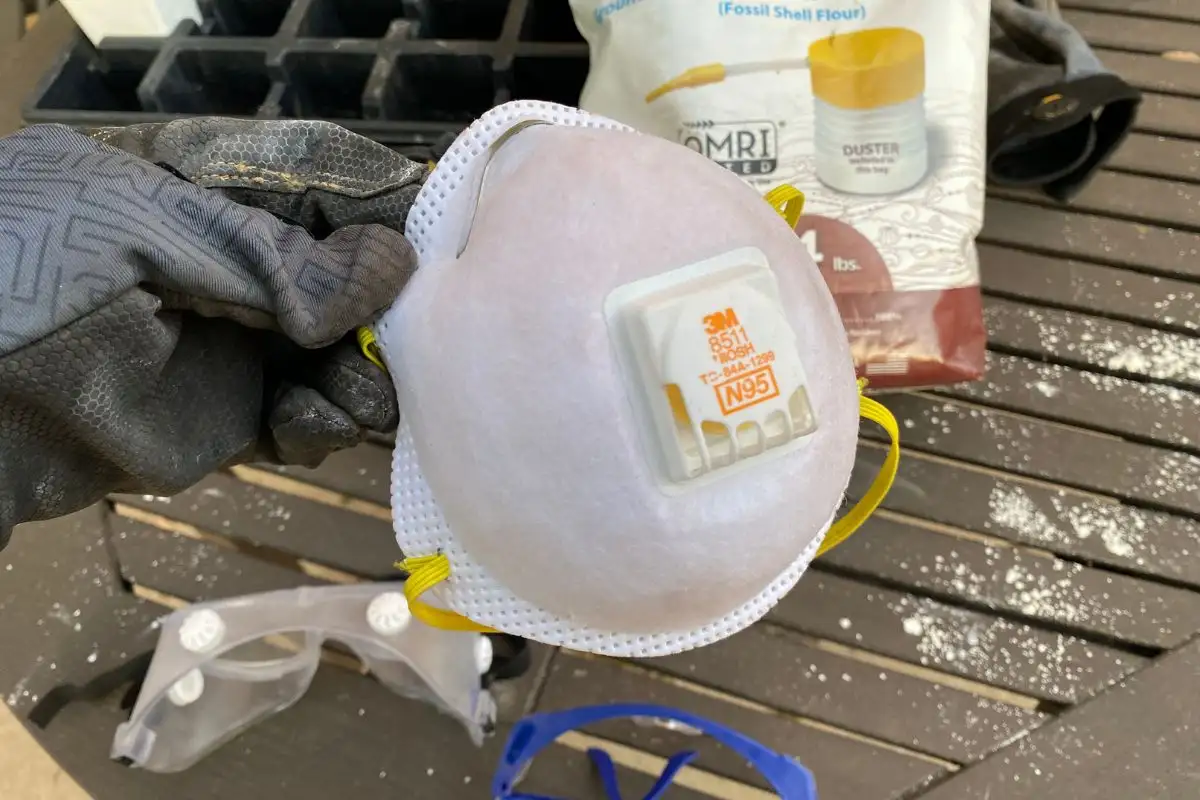Diatomaceous Earth and an N95 Mask