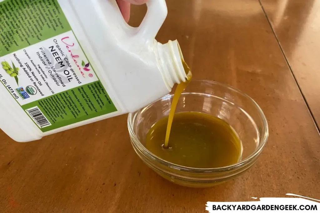 Pouring Neem Oil Into a Bowl