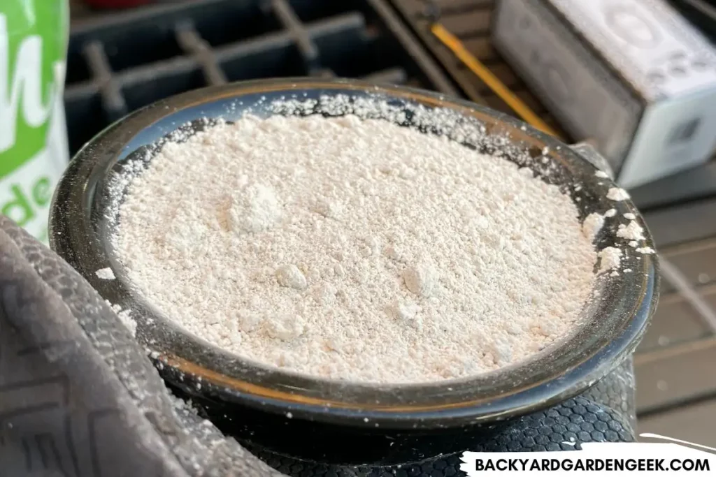 Bowl of Powdery Diatomaceous Earth