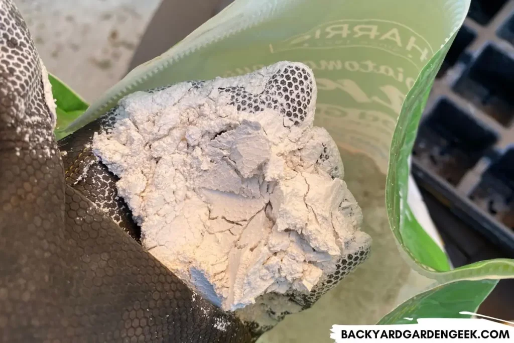 Diatomaceous Earth in the Bag