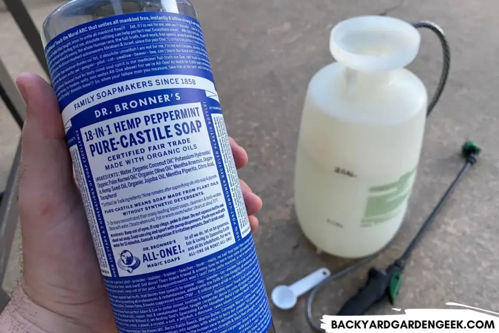 Holding a Bottle of Dr. Bronner's Peppermint Castile Soap