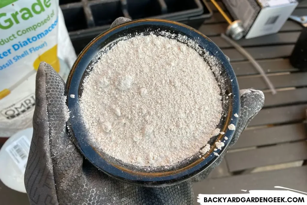 Holding a Powdery Bowl of Diatomaceous Earth