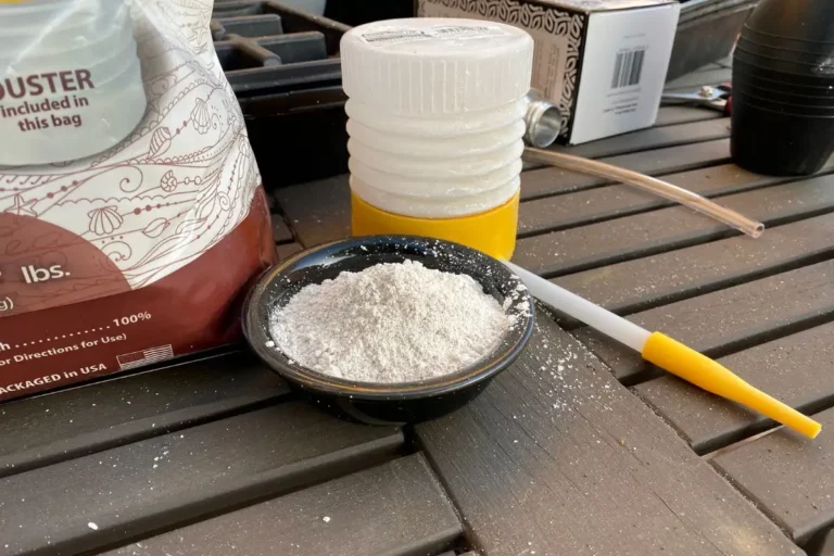 Does Diatomaceous Earth Still Work After it Gets Wet?