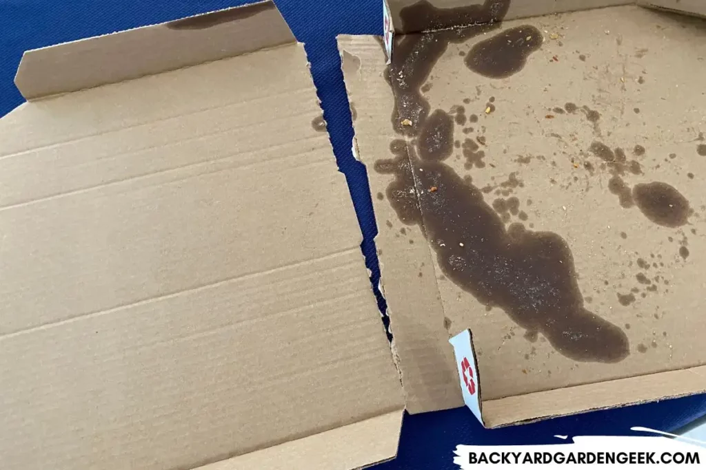 Pizza box torn in half