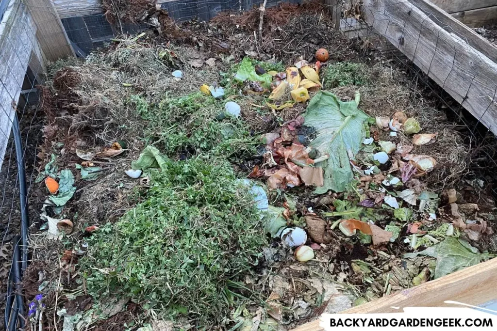 Decomposing Kitchen and Plant Scraps in Compost