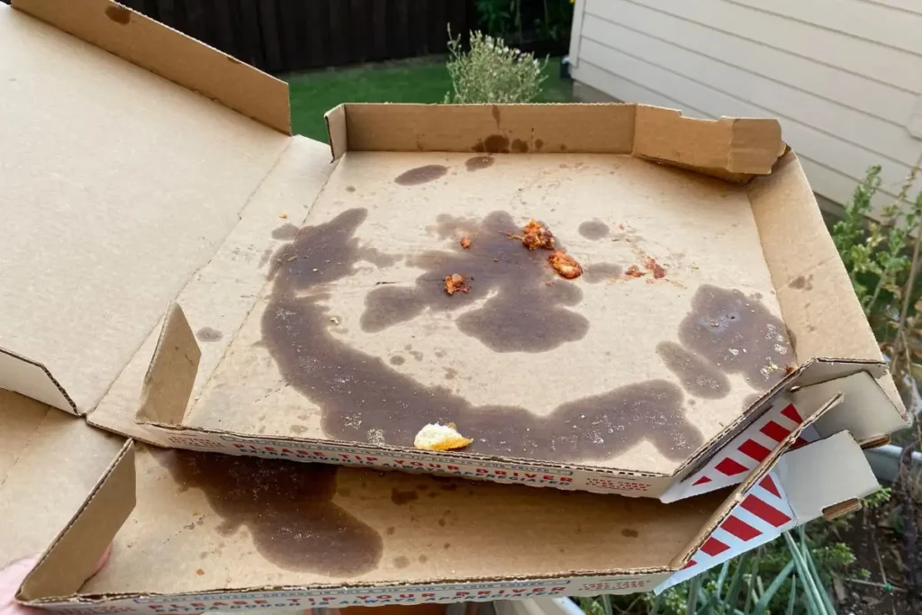 Composting Pizza Boxes A Simple, StepbyStep Guide Backyard Garden Geek