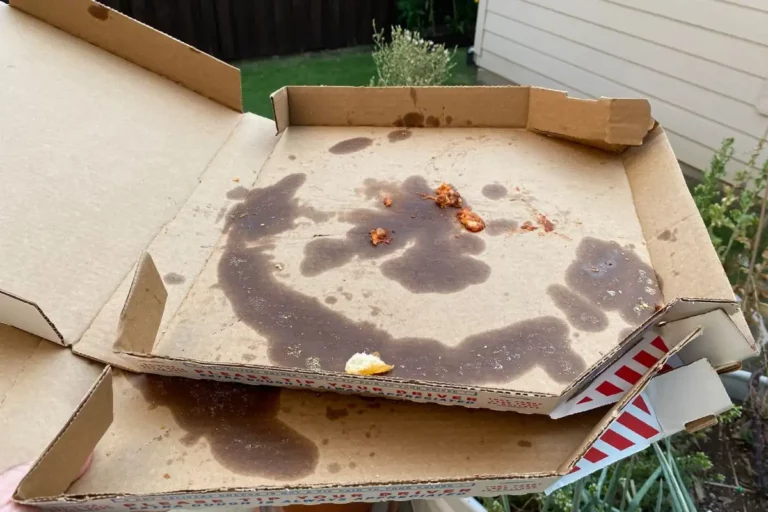 Composting Pizza Boxes: A Simple, Step-by-Step Guide