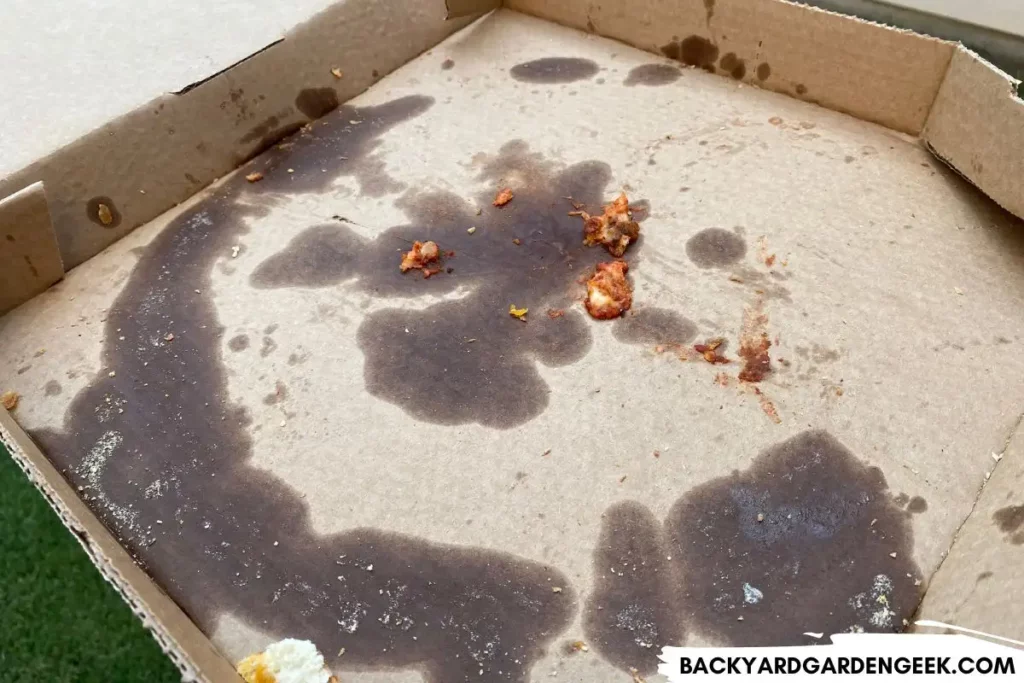 Greasy Pizza Box with Leftover Pizza Bits