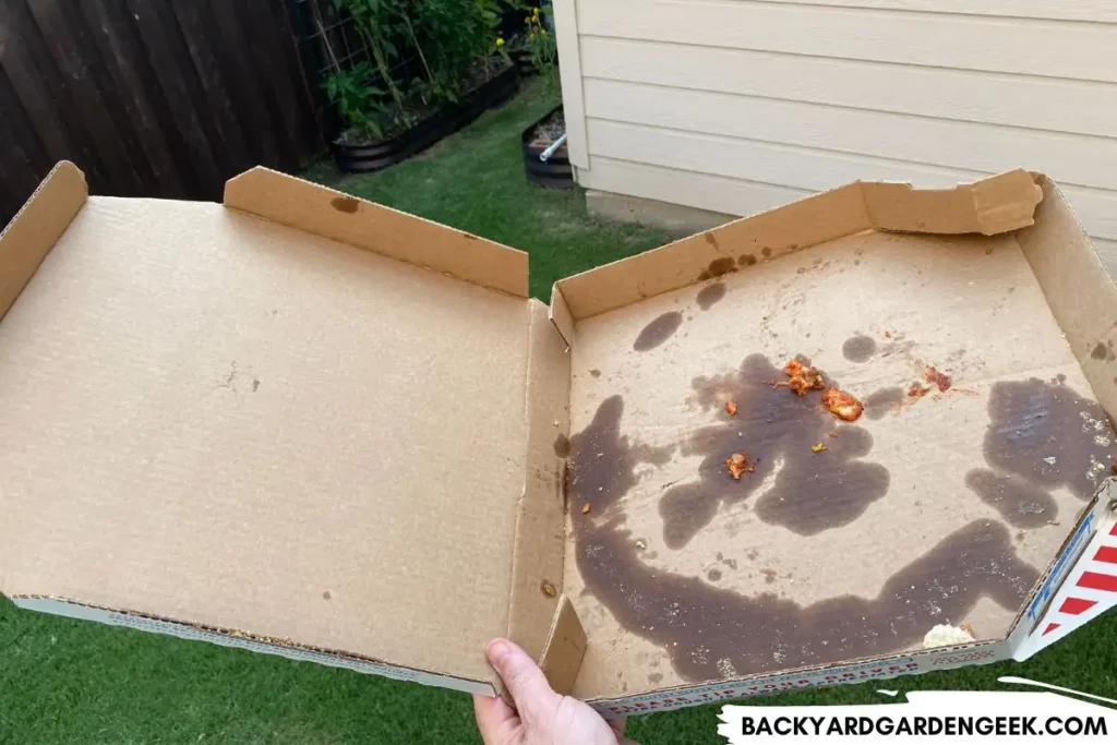 Greasy Used Pizza Box