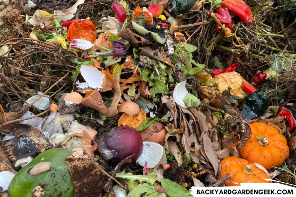 Kitchen Scraps in Compost Bin