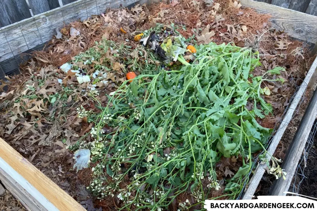 Mix of Browns and Greens in Compost Bin