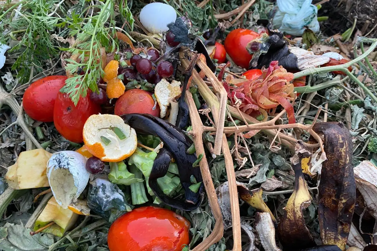 Nitrogen Rich Kitchen Scraps for Compost