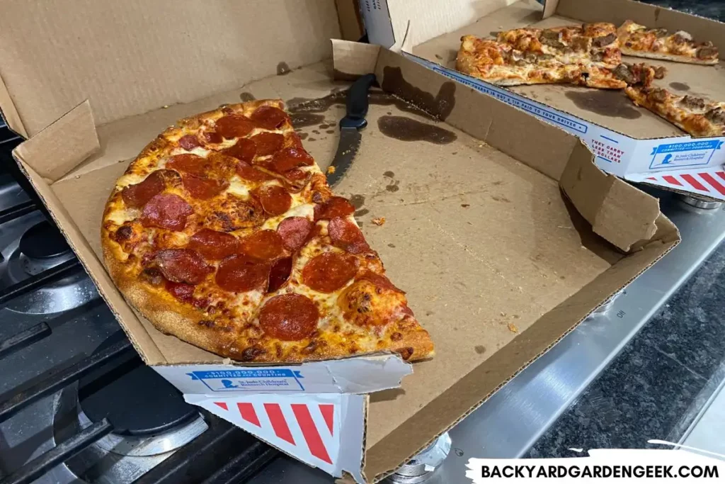 Pizza Box on the Kitchen Counter