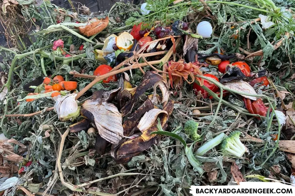 Vegetable and Fruit Scraps Added to Compost Bin