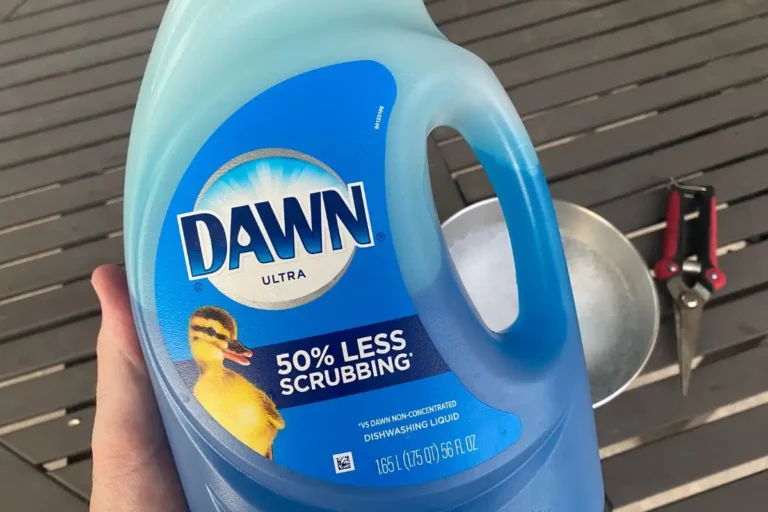Is Dawn Dish Soap Safe to Compost?