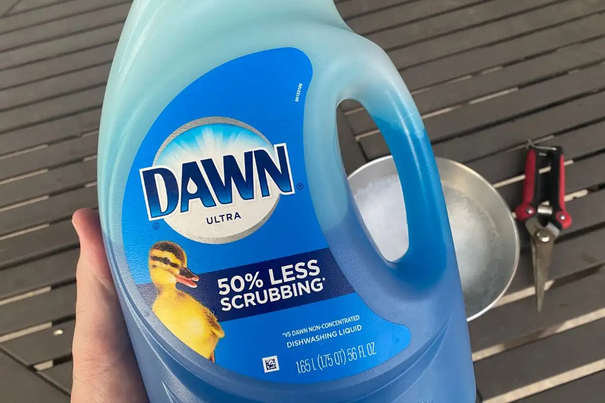 Bottle of Dawn Dish Soap