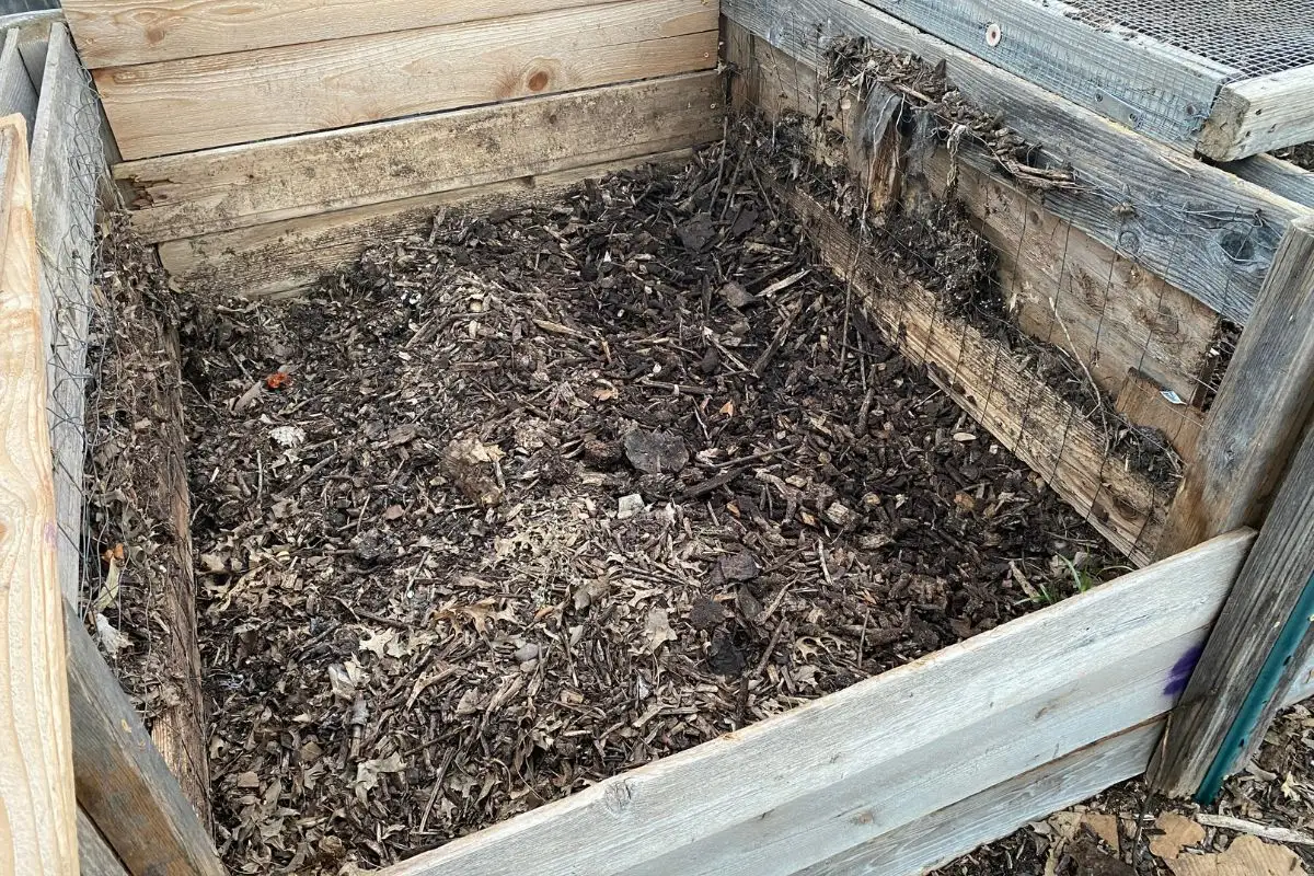 Bottom of a Compost Bin