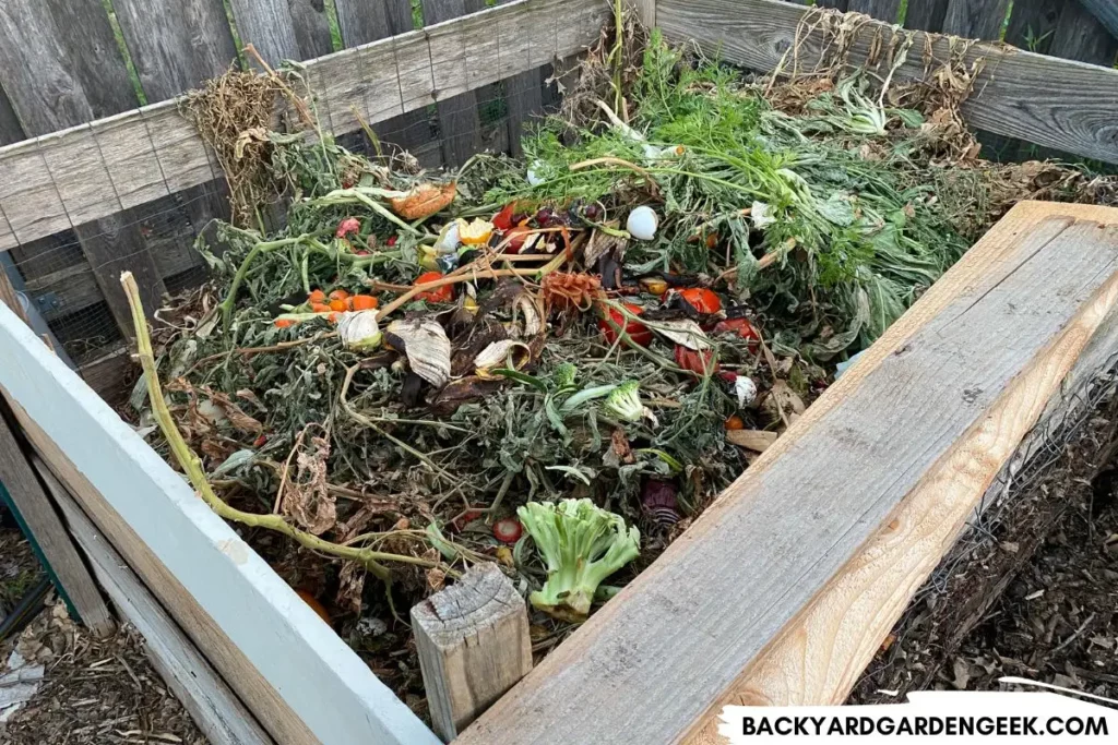 Kitchen Scraps in Compost Bin