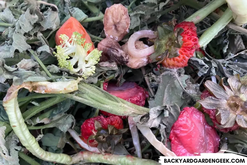 Kitchen Scraps in Compost Pile