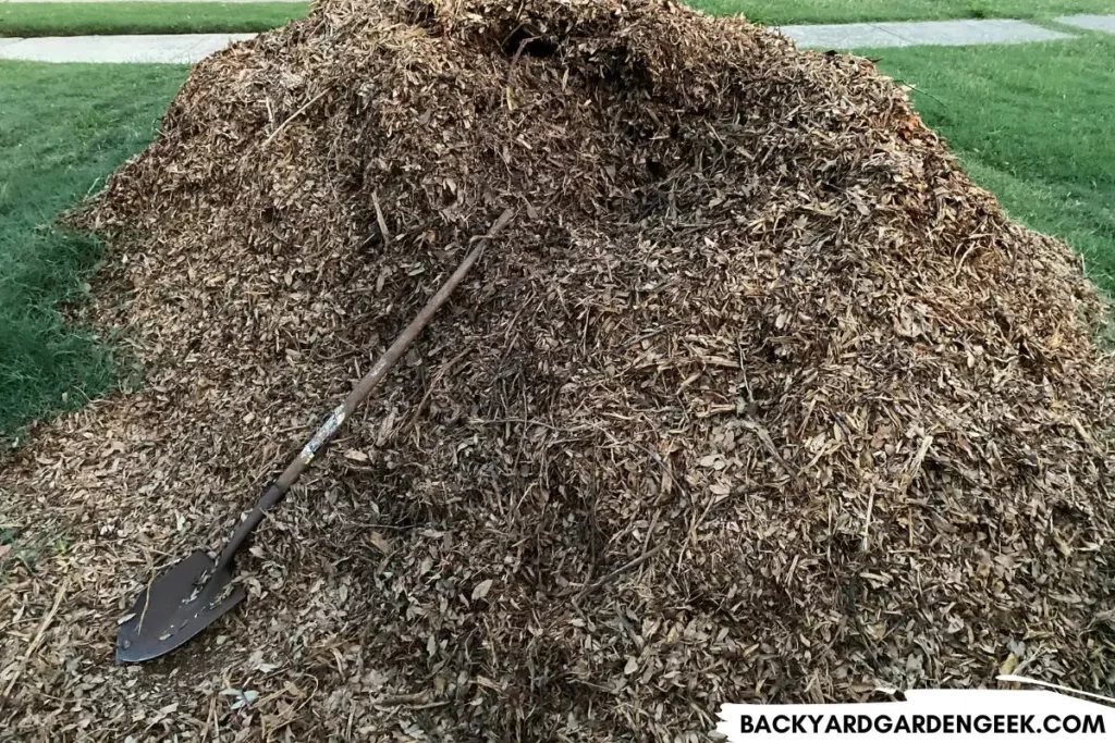 Large Pile of Wood Chips