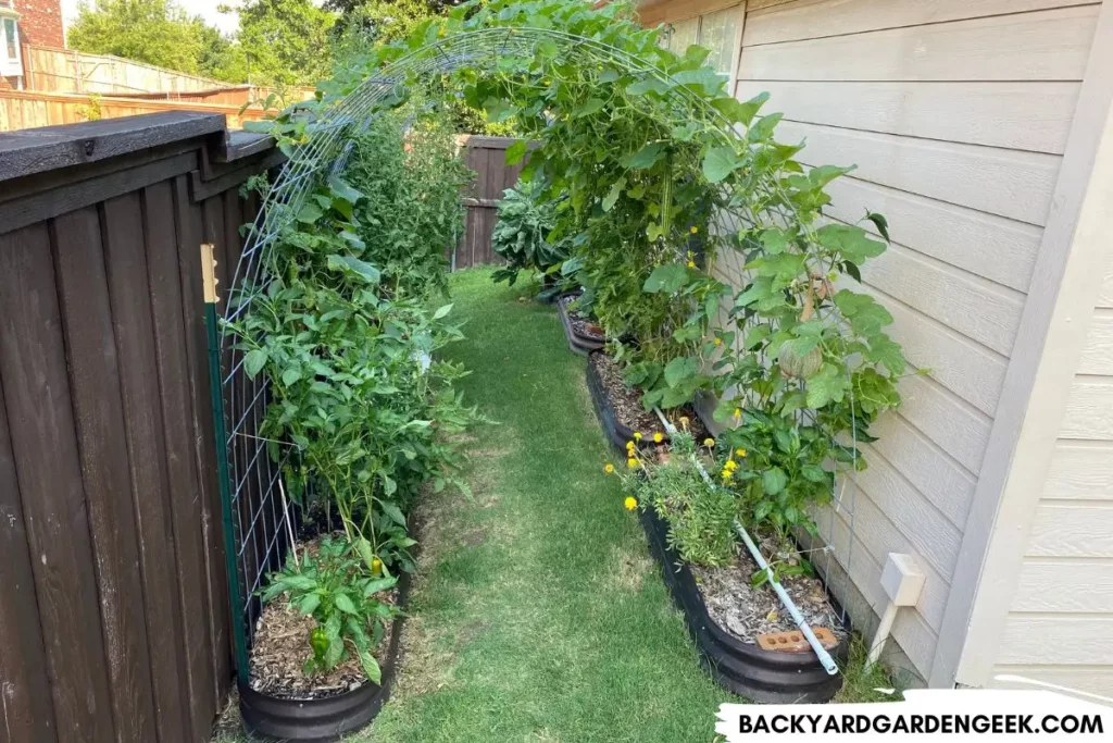 Plants in Raised Beds with Wood Chips