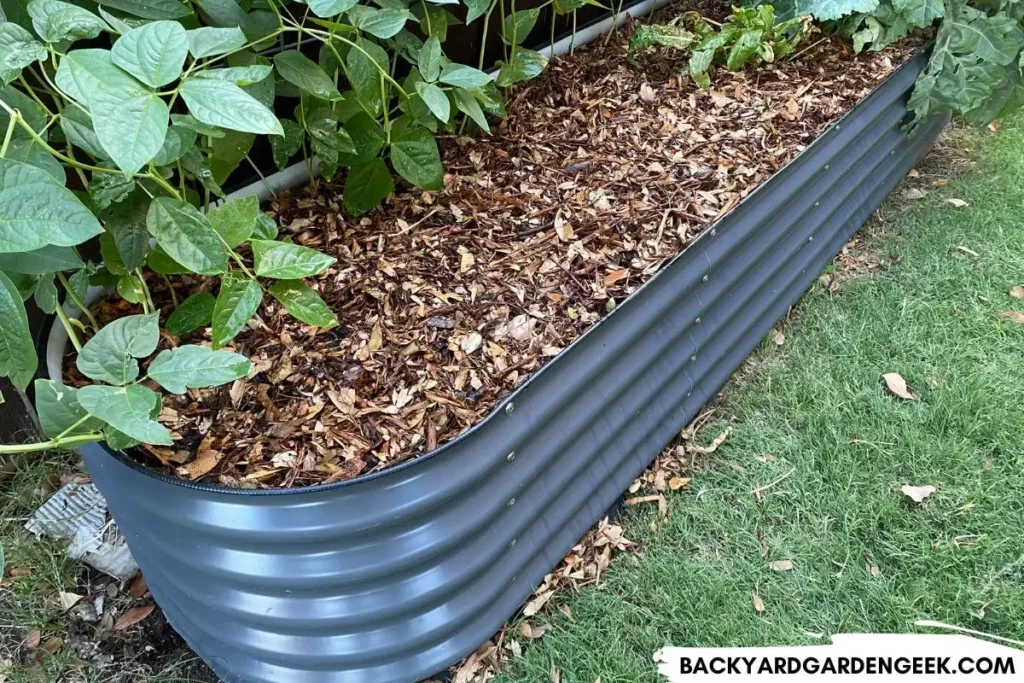 Raised Bed After Wood Chips