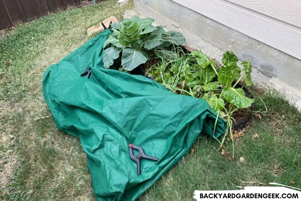 Using Spring Clamps to Cover Raised Garden Bed