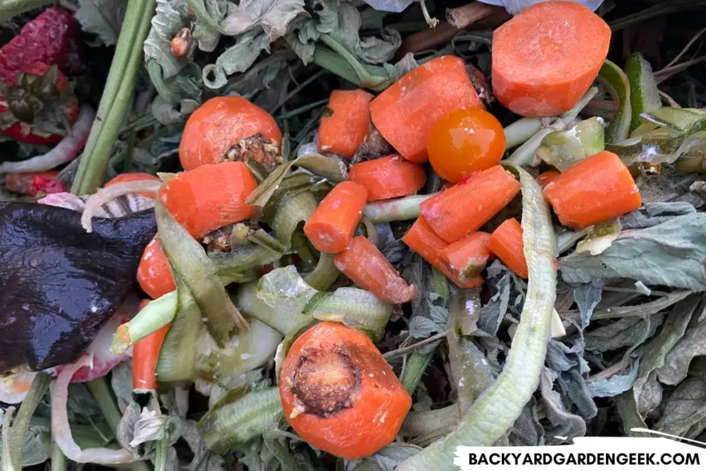 Carrot Pieces in the Compost Bin