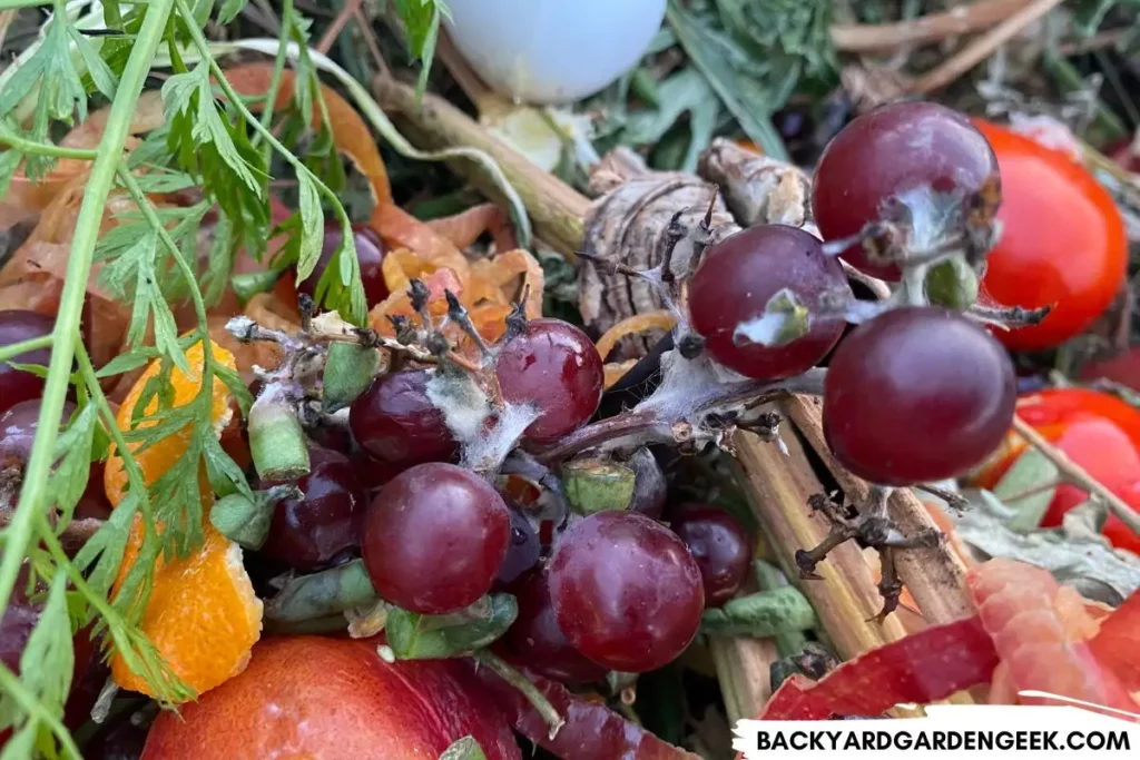 Citrus in the Compost Bin