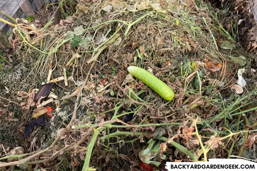 Compost Bin Filled with Plant Scraps