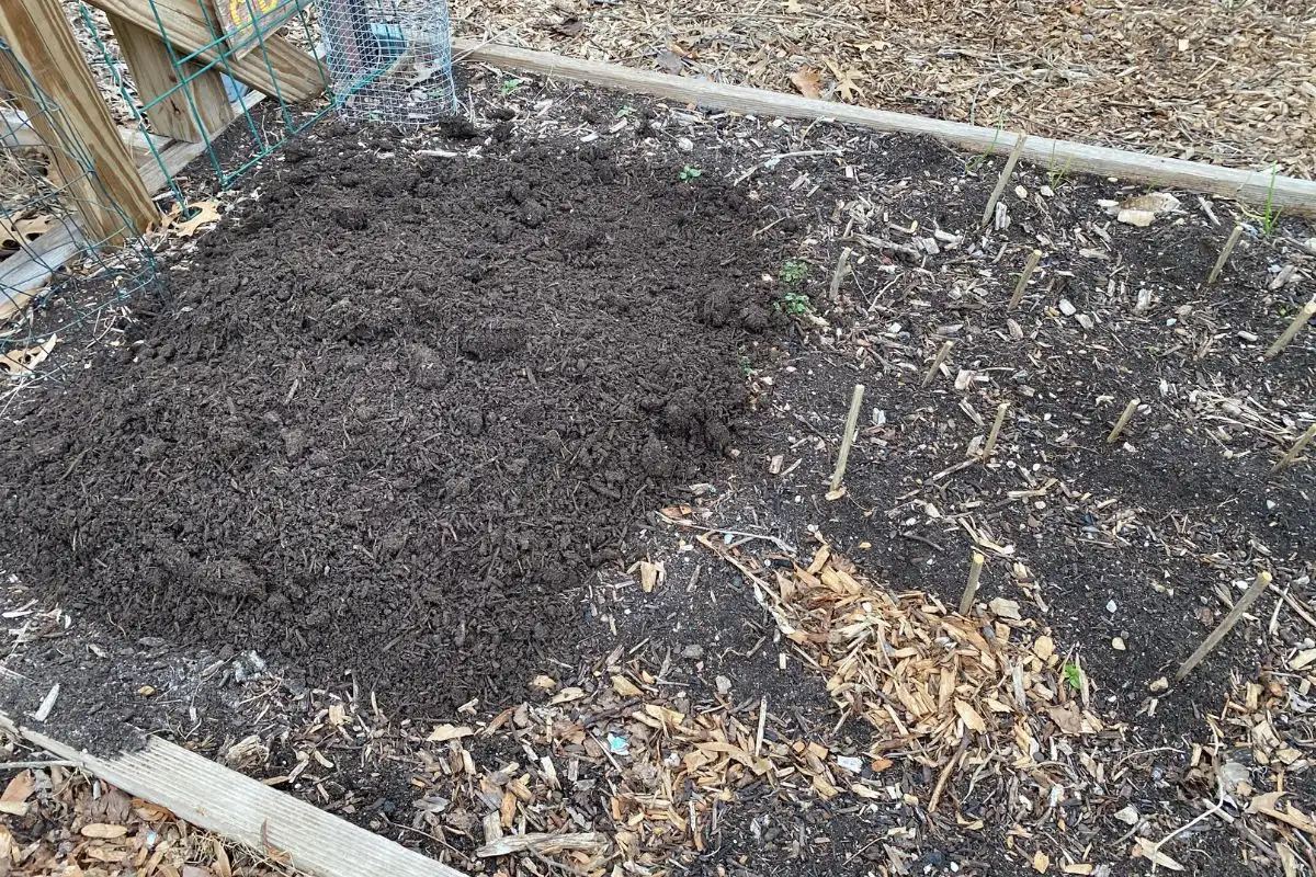 Compost in Garden Bed