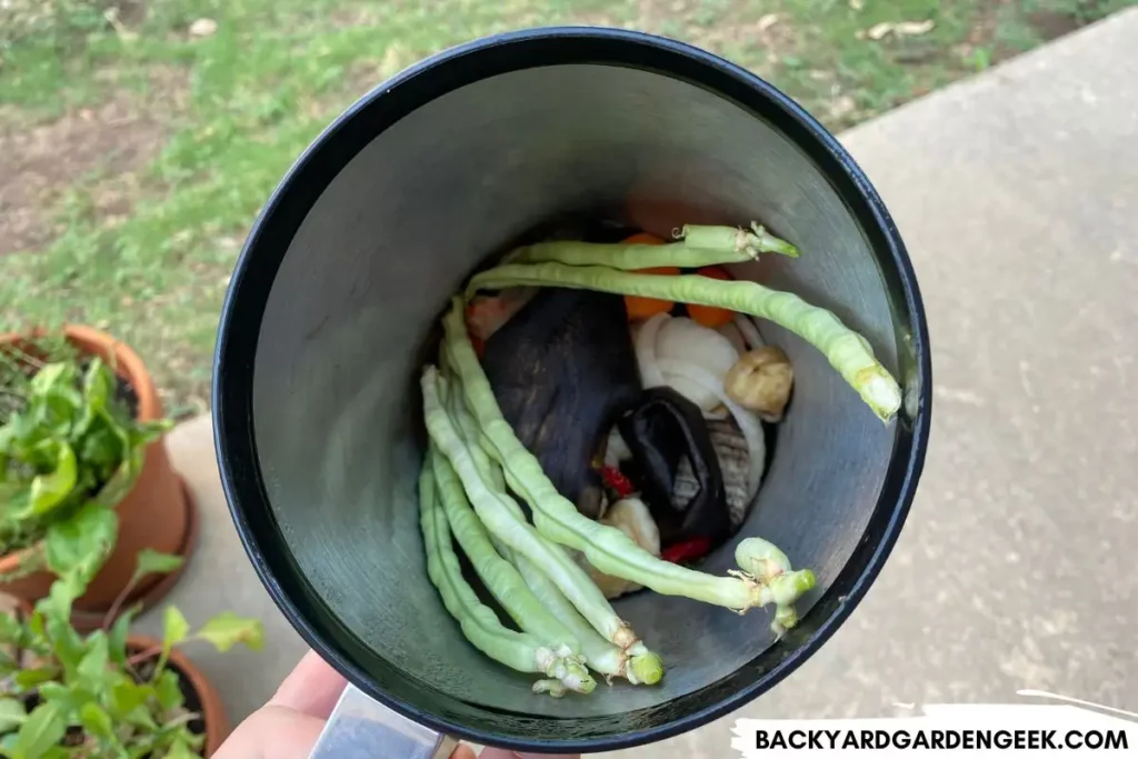 Kitchen Scraps for the Compost Bin