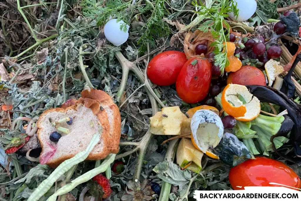 Kitchen Scraps in Compost Pile