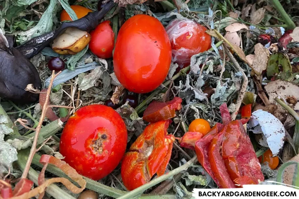 Tomatoes in the Compost Bin