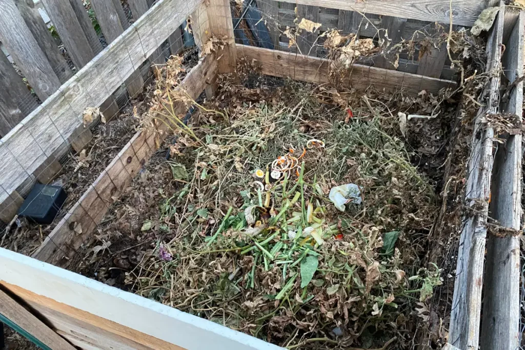 Compost Filled with Rotting Food