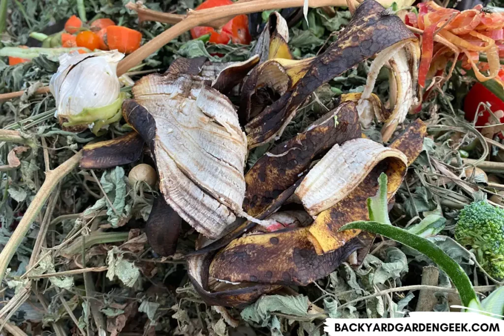 Image of Kitchen Scraps in a Compost Bin