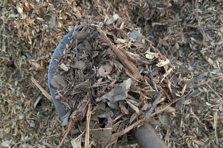 Should I Remove Mulch From Garden Beds Before Adding Compost?