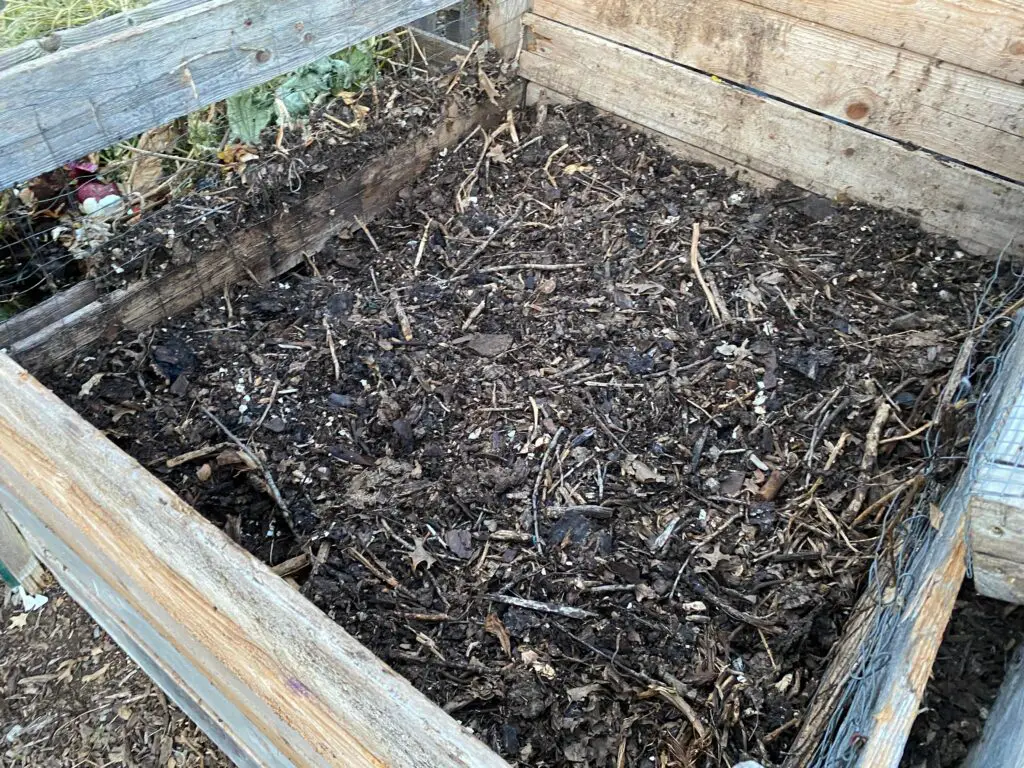 Homemade Organic Compost